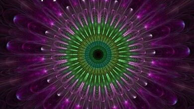 University of Metaphysics vs University of Metaphysical Sciences