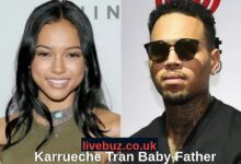 Karrueche Tran Baby Father