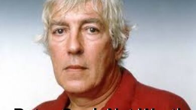 Peter Cook Net Worth