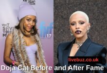 Doja Cat Before and After Fame