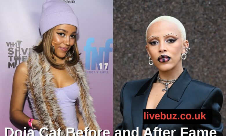 Doja Cat Before and After Fame